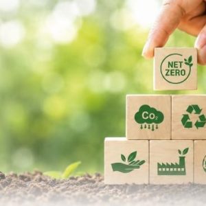 Programa de Especialización Superior en Gestión Medioambiental, Sostenibilidad y Zonas Verdes