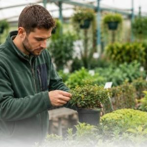 Horticultura y floricultura